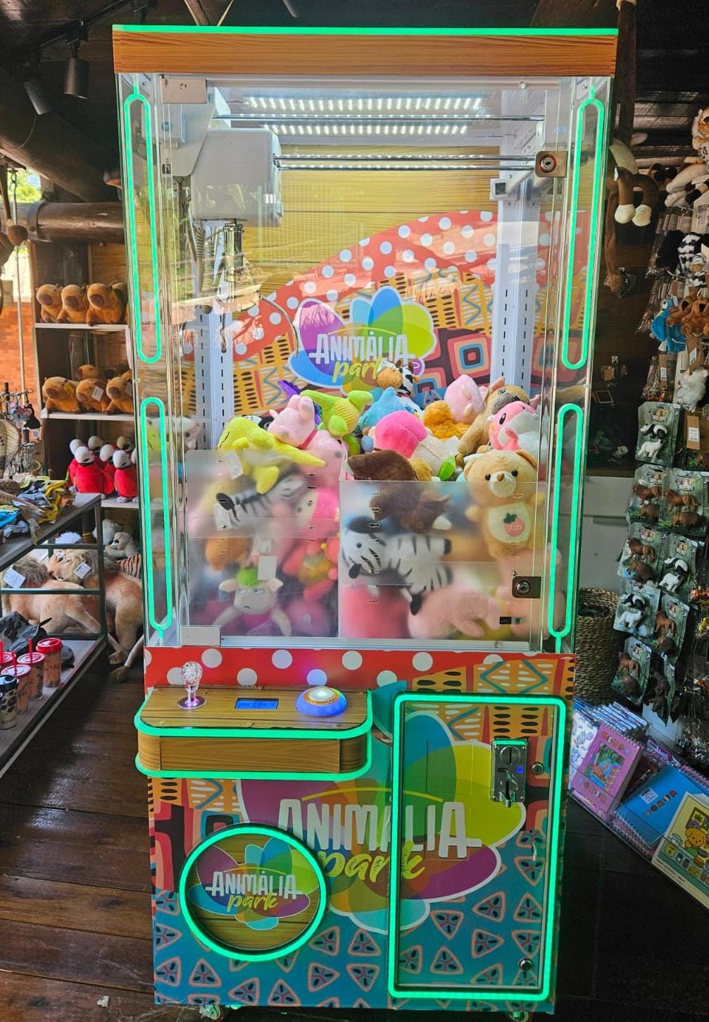 WhatsApp Image 2025-12-20 at 01.09.27